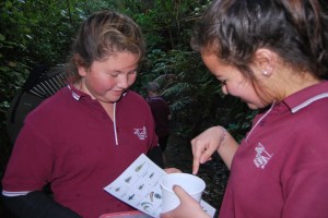 DSC_0162 identifying on chart