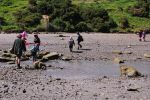 DSC_0048 crossing the Whangawehi River at king low tide