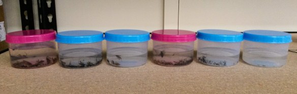 20161107_112002_edited