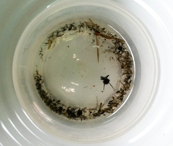 20161107_112106_edited